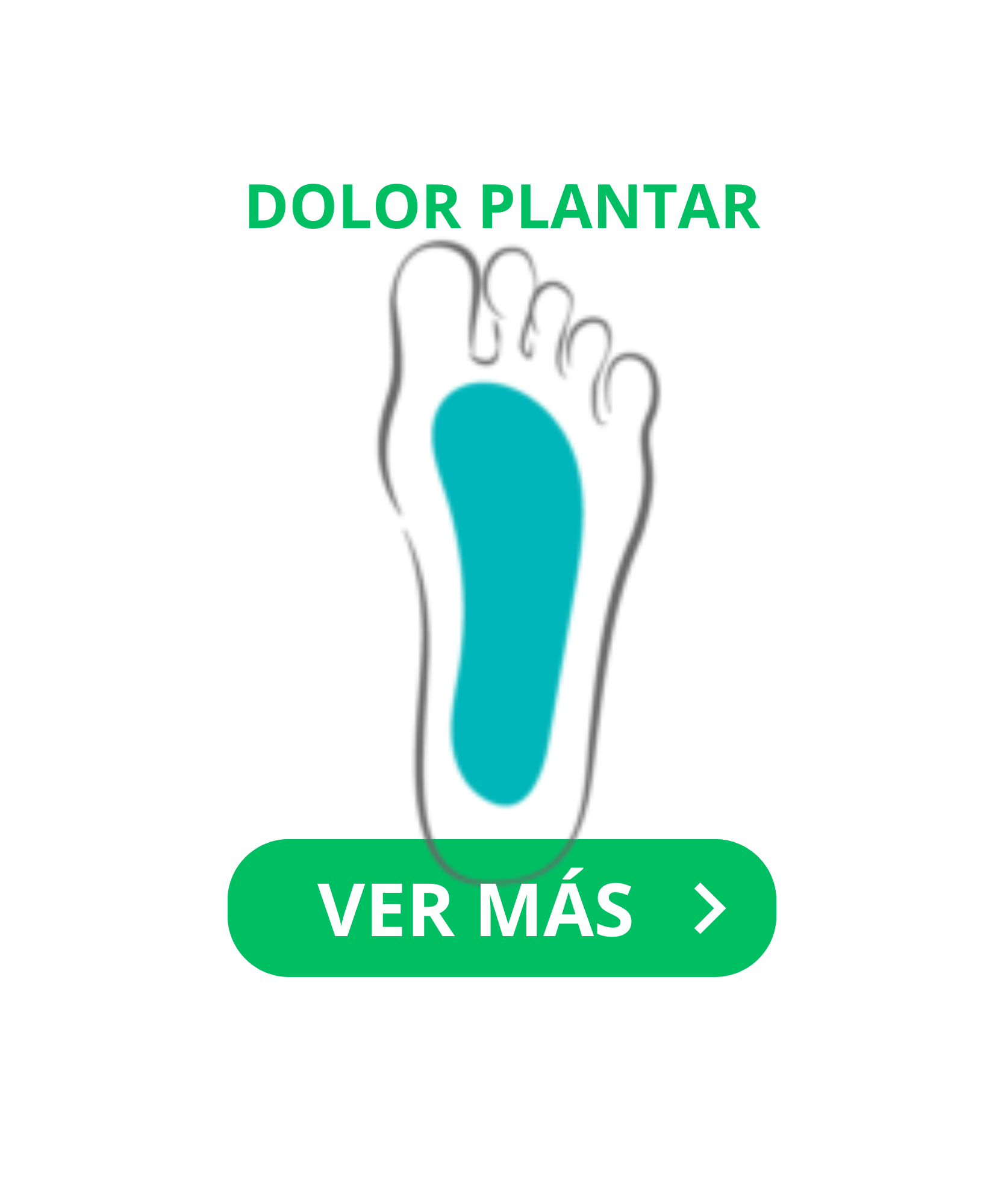 Categoría 5
