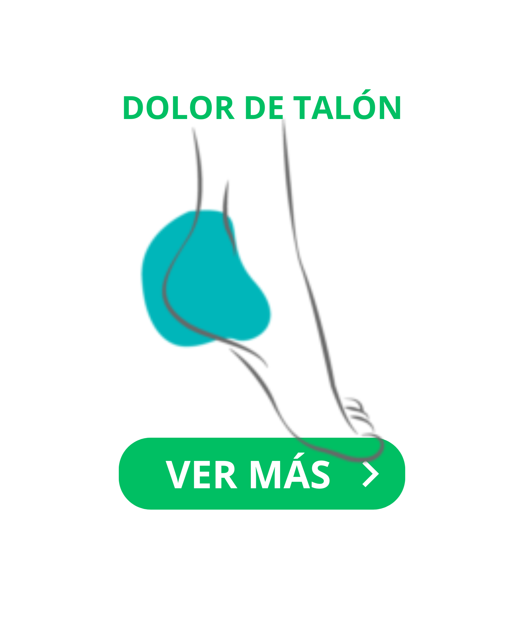 Categoría 4
