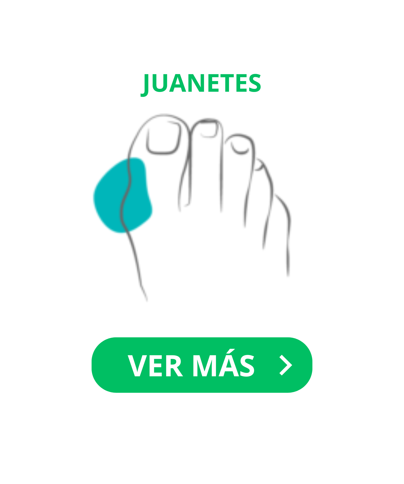 Categoría 8